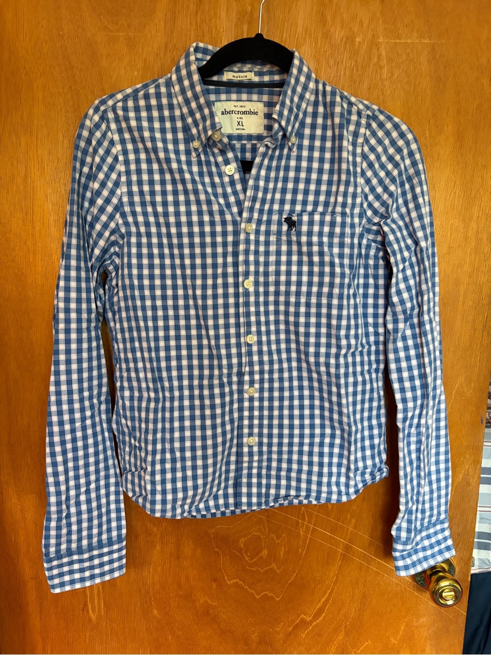 Abercrombie & Fitch Blue and White Gingham Button-Down Shirt